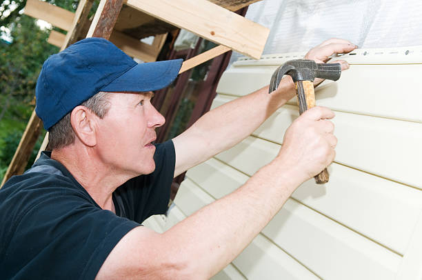 Best Siding Maintenance  in Plentywood, MT